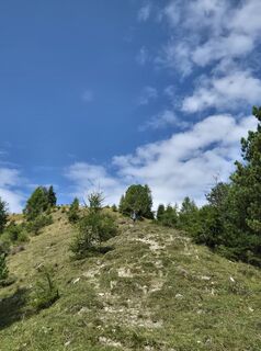 Fotografija s spletne strani Susann Herfurth na poti