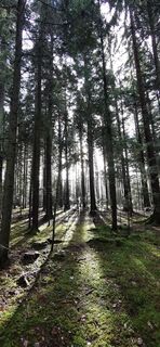 Fotografia z Chnorli-Furz na trase