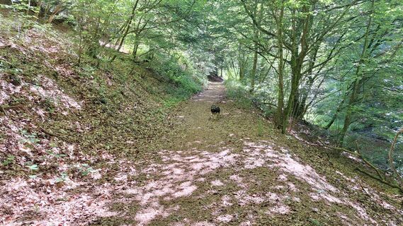 Photo de Kurt Schorn le long du parcours