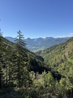 Fotografija s spletne strani Katalin Pilli na poti