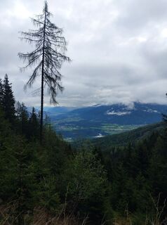 Foto von Morpheus entlang der Tour