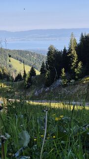 Foto von Philippe Horner entlang der Tour