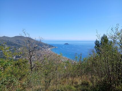 Foto von Luca Dainese entlang der Tour