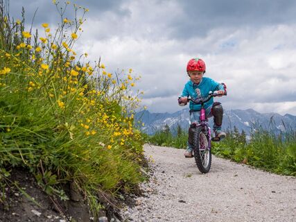 Junior Trails