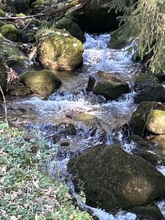 Fotografia z Ewald Zweifel na trase