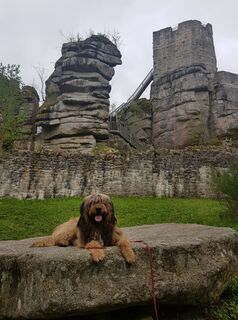 Foto von Rotti Horrolt entlang der Tour