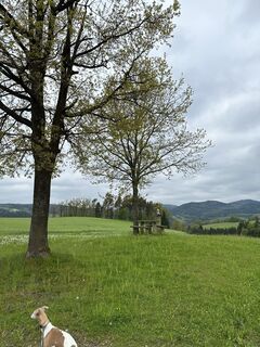 Fotografia z Babs Holz na trase