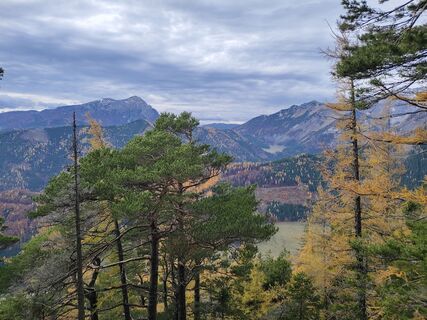 Fotografia z Edit Beliczai na trase