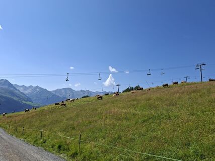 Foto von Erwinnijkamp entlang der Tour