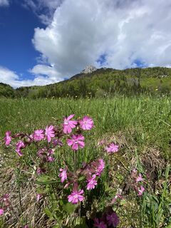 Fotografija s spletne strani eva_mountaininlove na poti