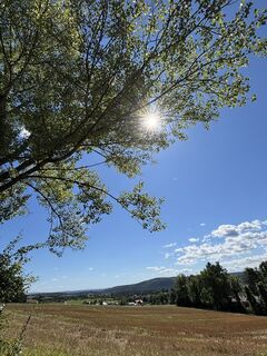 Fotografia z RS76 na trase