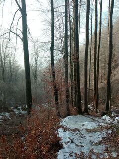 Photo de Lisa Pimminger 1 le long du parcours