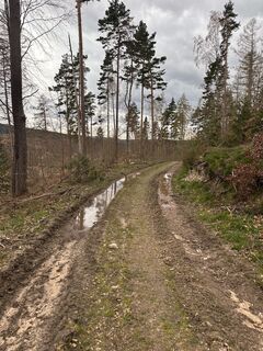 Fotografia z Annusch na trase