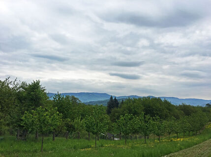 Rheintal mit Blick auf den Schwarzwald