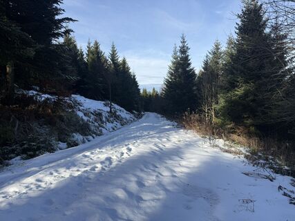 Fotografija s spletne strani Nico Eisner na poti