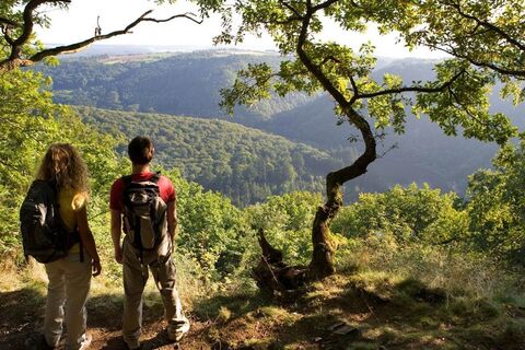 Blick auf die Saar