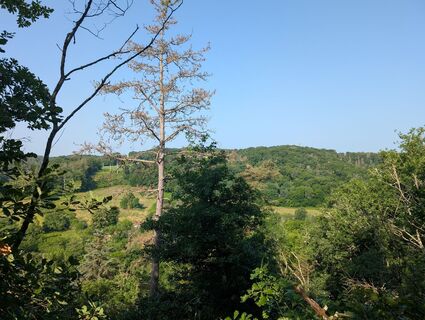 Fotografia z Herve Andeler na trase