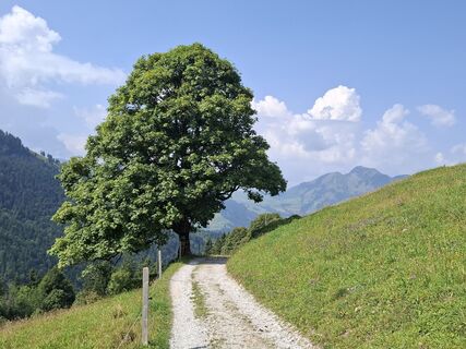 Photo de Michael Putz le long du parcours