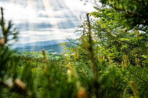 Pfaffenkogelsteig-Ausblick auf Stift Rein
