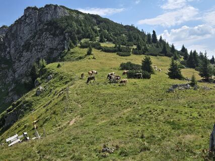 Foto von Altmann Andreas entlang der Tour