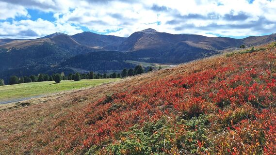 Zdjęcie z Aga M wzdłuż trasy