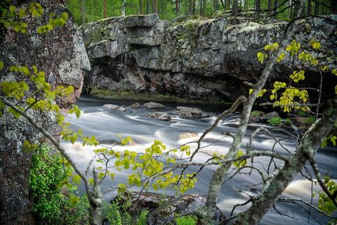 Pamilonkoski