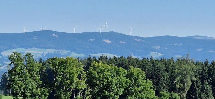 Fotografia z Utassy Tóth Johanna na trase