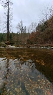 Foto fra Anita Lunzer 1 undervejs på turen