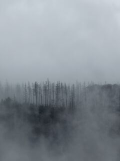 Fotografija s spletne strani TallWanderBilly na poti