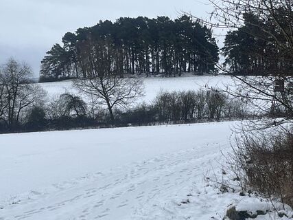 Photo de Roland Steinfadt le long du parcours