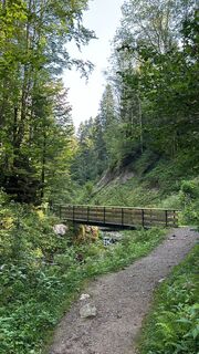 Foto von Lukas Wollenburg entlang der Tour