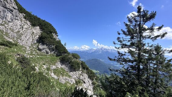 Fotografia z Mountain Cat ? ⛰️ na trase