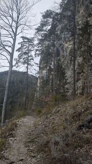 Fotografia z kurtz na trase