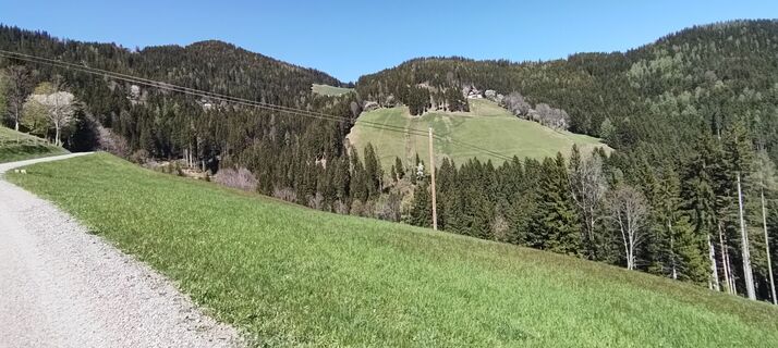 Fotografija s spletne strani wolfkl na poti