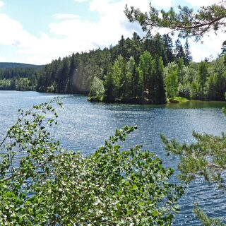 Stausee mit Blick zur Halbinsel mit Bootshaus und Boot
