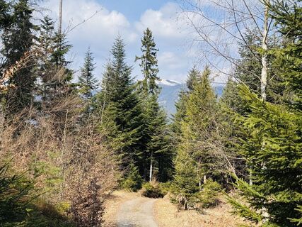 Foto von Edeltraud zraunig entlang der Tour