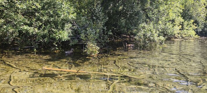 Foto von Sonja Enzenhofer entlang der Tour