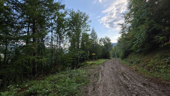 Photo de EP87 le long du parcours