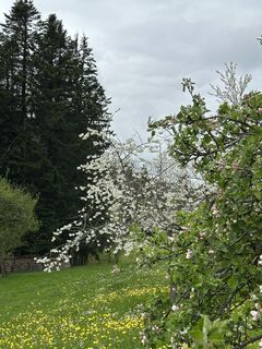 Fotó a Cyrill Bischof honlapról a túra során