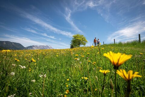Wanderung auf der Saurücken Runde
