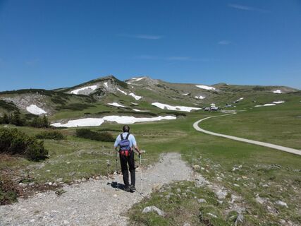 Schneealpe - Höhenwanderung über Blumenwiesen