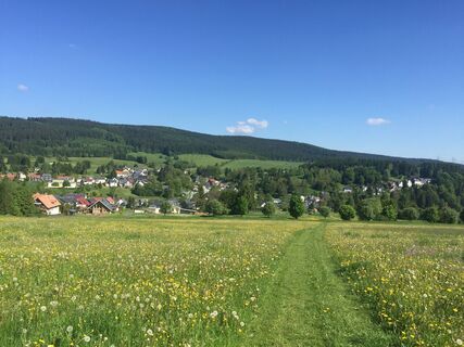 Blick auf Altenfeld
