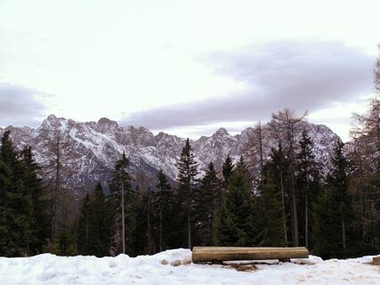 Photo de Darija Forgač le long du parcours