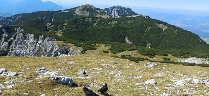 Foto de Janez Perko a lo largo del recorrido