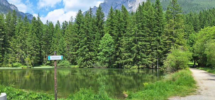 Fotó a Gabriela Mandl honlapról a túra során