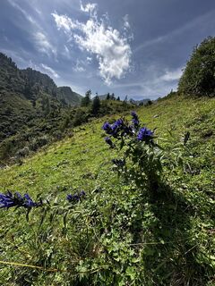 Fotó a Marion Schedel honlapról a túra során
