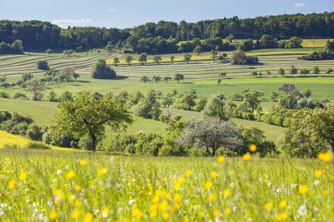 Die typische Bliesgau-Landschaft bei Medelsheim