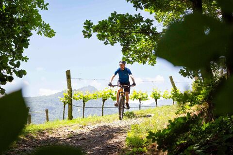 Mountainbiker hoch oben mit Aussicht