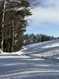 Fotografia z Reinhard Frewein na trase