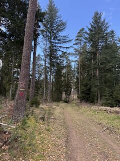 Foto von Benedikt Pracht entlang der Tour